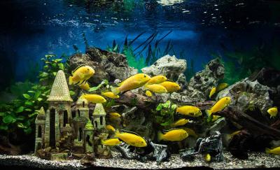 Прикрепленное изображение: IMG_6998.jpg